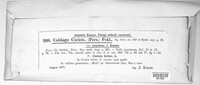 Anthracoidea caricis image